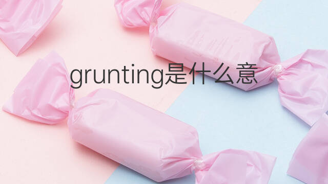 grunting是什么意思 grunting的翻译、读音、例句、中文解释