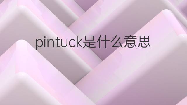 pintuck是什么意思 pintuck的中文翻译、读音、例句