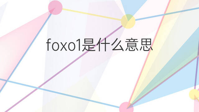 foxo1是什么意思 foxo1的中文翻译、读音、例句