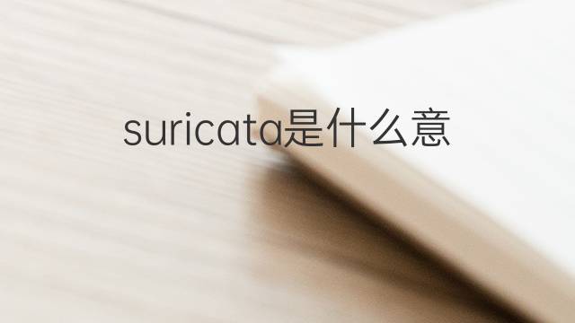 suricata是什么意思 suricata的中文翻译、读音、例句