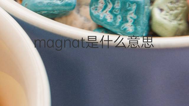magnat是什么意思 magnat的中文翻译、读音、例句