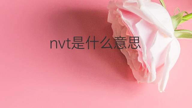nvt是什么意思 nvt的中文翻译、读音、例句
