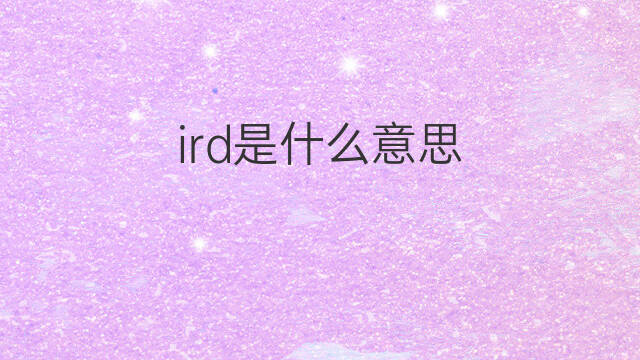 ird是什么意思 ird的中文翻译、读音、例句