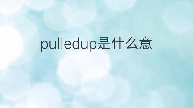 pulledup是什么意思 pulledup的中文翻译、读音、例句