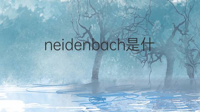 neidenbach是什么意思 neidenbach的中文翻译、读音、例句