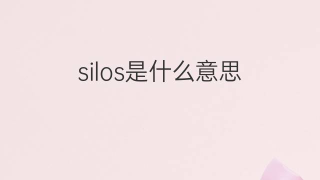 silos是什么意思 silos的中文翻译、读音、例句