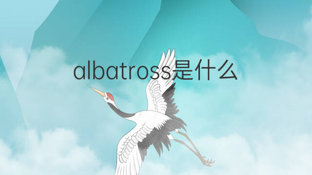 albatross是什么意思 albatross的中文翻译、读音、例句