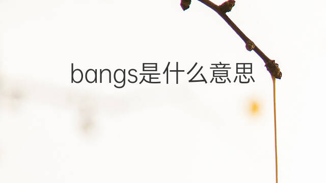 bangs是什么意思 bangs的中文翻译、读音、例句
