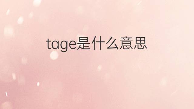 tage是什么意思 tage的翻译、读音、例句、中文解释