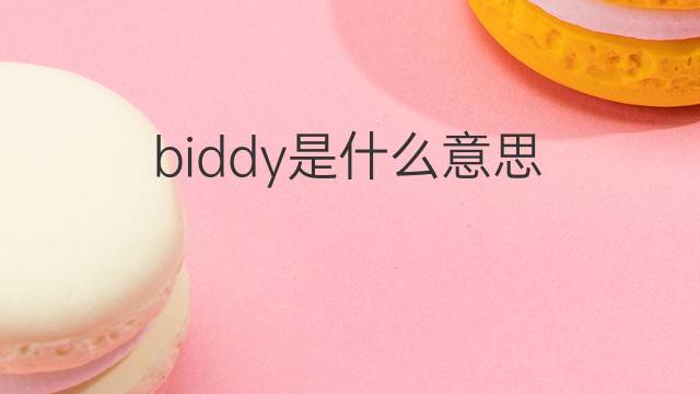 biddy是什么意思 biddy的中文翻译、读音、例句
