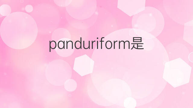 panduriform是什么意思 panduriform的中文翻译、读音、例句