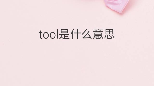 tool是什么意思 tool的中文翻译、读音、例句