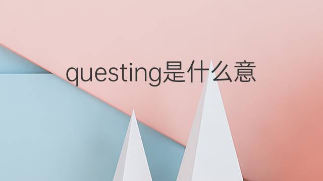 questing是什么意思 questing的中文翻译、读音、例句