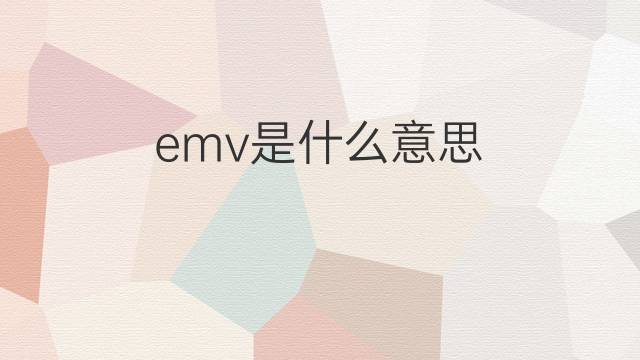 emv是什么意思 emv的中文翻译、读音、例句