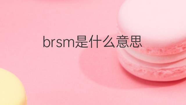 brsm是什么意思 brsm的中文翻译、读音、例句