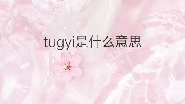 tugyi是什么意思 tugyi的中文翻译、读音、例句