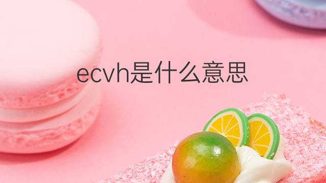 ecvh是什么意思 ecvh的中文翻译、读音、例句