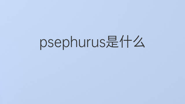 psephurus是什么意思 psephurus的中文翻译、读音、例句