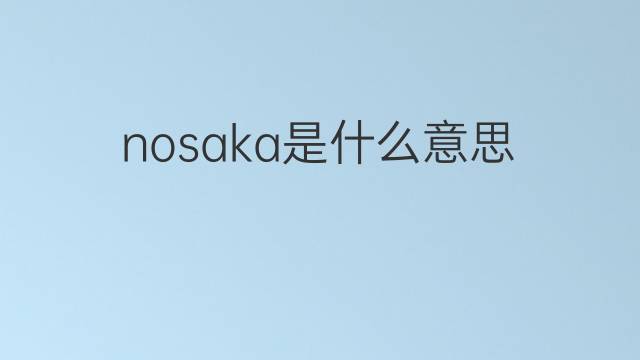 nosaka是什么意思 nosaka的中文翻译、读音、例句