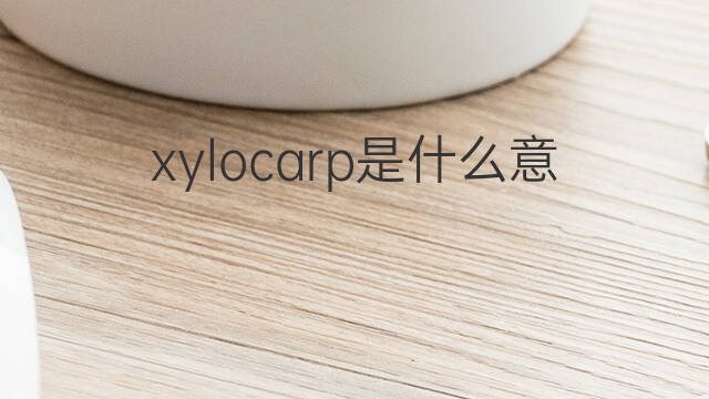 xylocarp是什么意思 xylocarp的中文翻译、读音、例句