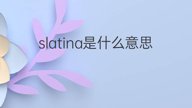 slatina是什么意思 slatina的中文翻译、读音、例句