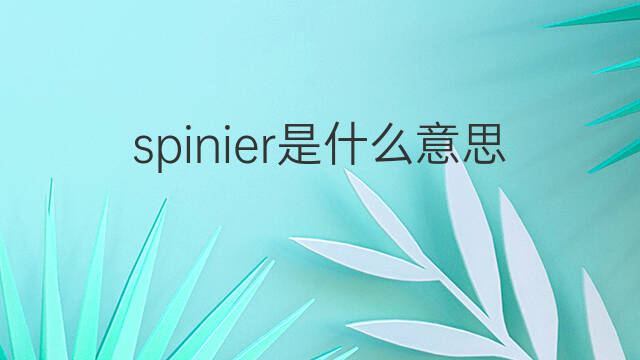 spinier是什么意思 spinier的中文翻译、读音、例句