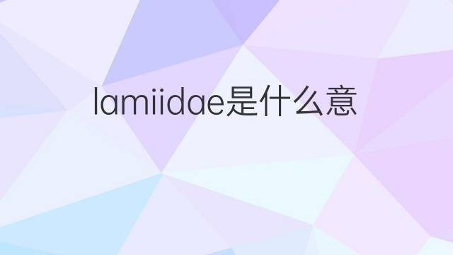 lamiidae是什么意思 lamiidae的中文翻译、读音、例句