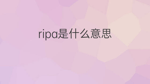 ripa是什么意思 英文名ripa的翻译、发音、来源