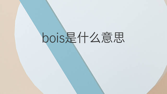 bois是什么意思 bois的中文翻译、读音、例句