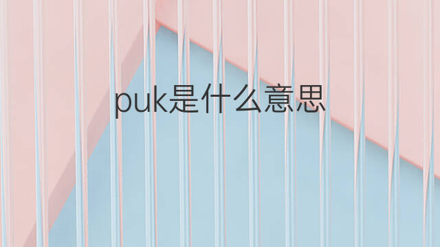 puk是什么意思 英文名puk的翻译、发音、来源