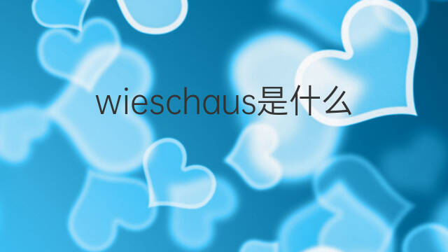 wieschaus是什么意思 wieschaus的翻译、读音、例句、中文解释