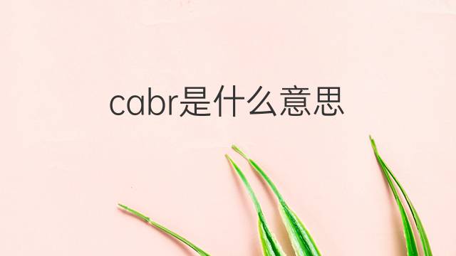 cabr是什么意思 cabr的中文翻译、读音、例句