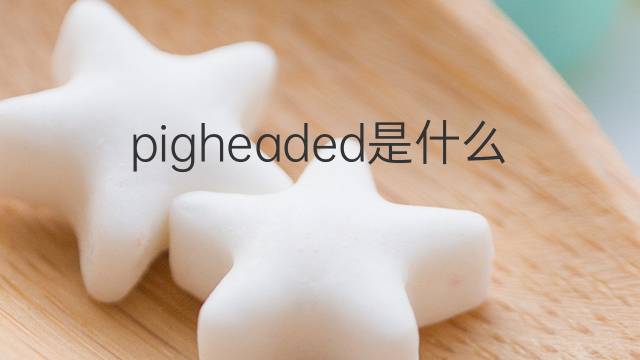 pigheaded是什么意思 pigheaded的中文翻译、读音、例句