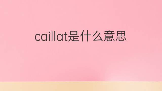 caillat是什么意思 caillat的中文翻译、读音、例句
