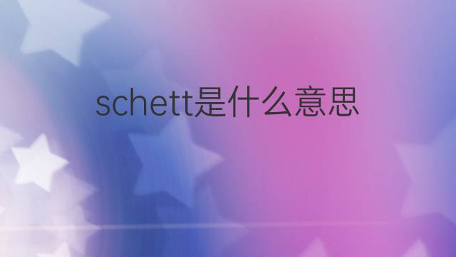 schett是什么意思 schett的中文翻译、读音、例句