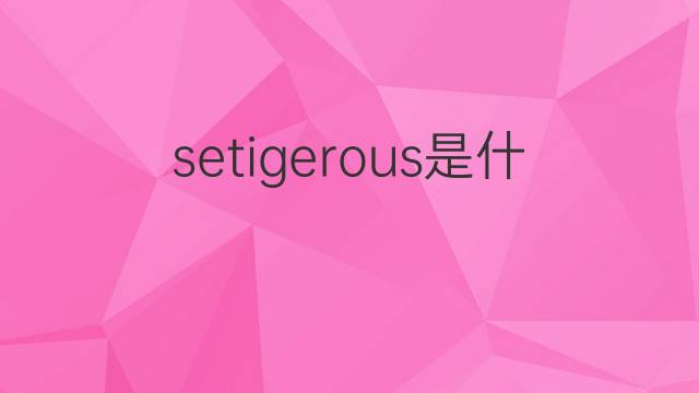 setigerous是什么意思 setigerous的中文翻译、读音、例句