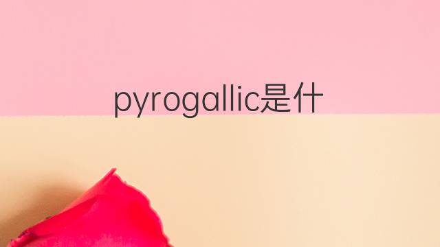 pyrogallic是什么意思 pyrogallic的中文翻译、读音、例句
