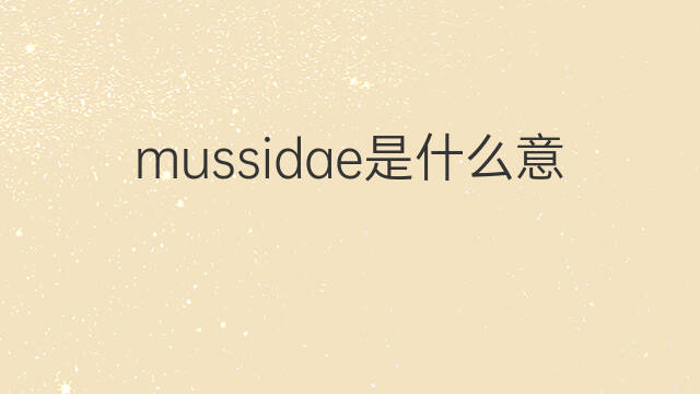 mussidae是什么意思 mussidae的中文翻译、读音、例句