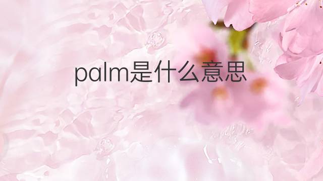palm是什么意思 palm的中文翻译、读音、例句