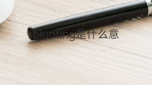 blunting是什么意思 blunting的中文翻译、读音、例句