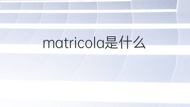matricola是什么意思 matricola的中文翻译、读音、例句