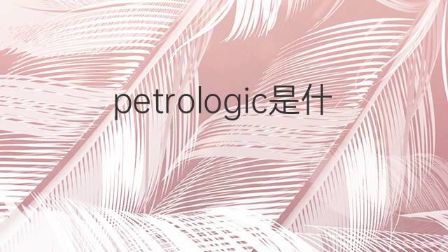 petrologic是什么意思 petrologic的中文翻译、读音、例句