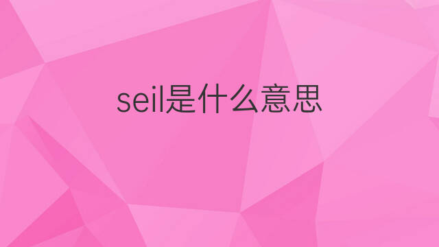 seil是什么意思 seil的中文翻译、读音、例句