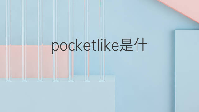 pocketlike是什么意思 pocketlike的中文翻译、读音、例句