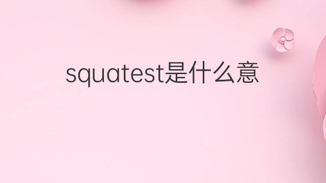 squatest是什么意思 squatest的中文翻译、读音、例句