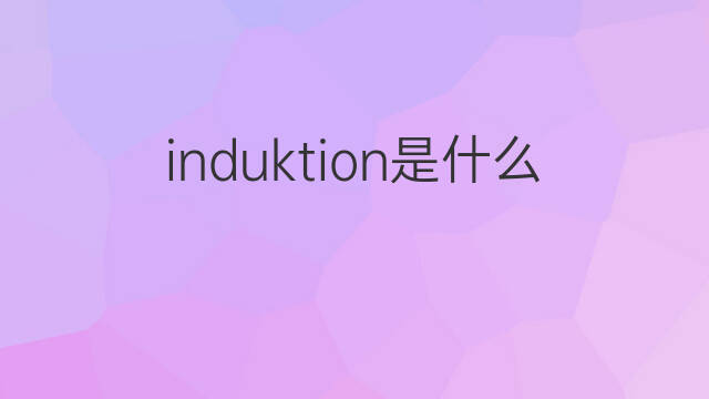 induktion是什么意思 induktion的中文翻译、读音、例句