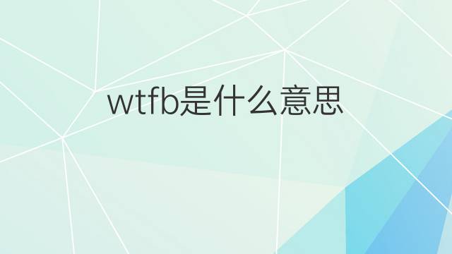 wtfb是什么意思 wtfb的中文翻译、读音、例句