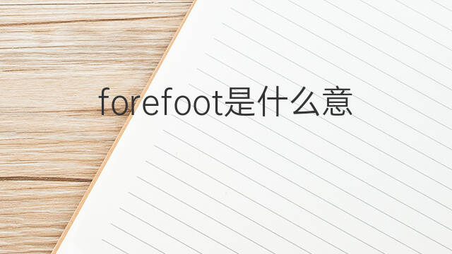 forefoot是什么意思 forefoot的中文翻译、读音、例句