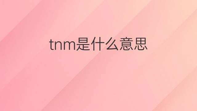 tnm是什么意思 tnm的翻译、读音、例句、中文解释