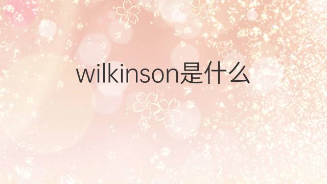 wilkinson是什么意思 wilkinson的中文翻译、读音、例句